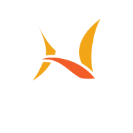 Footer Logo