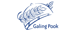 Galing Pook Foundation
